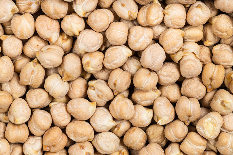 The Story of Cece Fiorentino: An Ancient Tuscan Chickpea