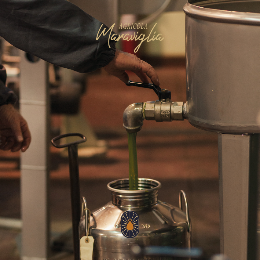 Condiments Tasting Kit